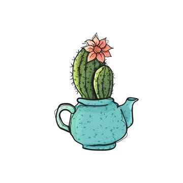 Watercolor Style Vector Blooming Cactus Pink Flower in Teal Teapot Hand Drawn Illustration