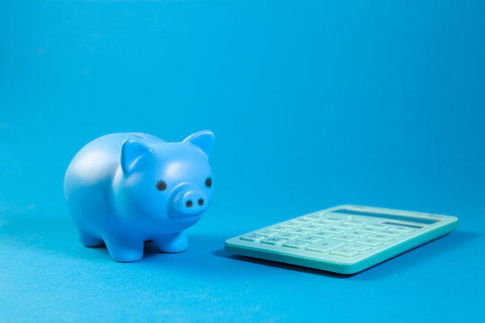 Blue piggy bank and calculator on blue background. Saving money concept