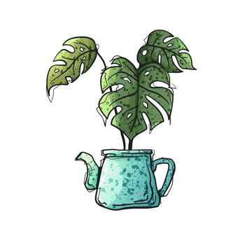 Watercolor Style Vector Monstera Deliciosa Plant Teal Blue Teapot Hand Drawn Illustration
