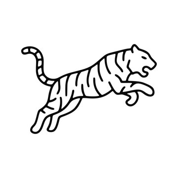 Tiger jumping for wild animal and predator minimalist line icon