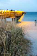 Fototapeta premium Illuminated sea bridge in twilight. Grass in the foreground.