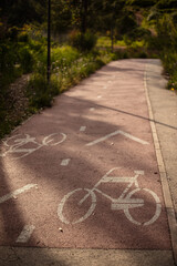 Naklejka premium Bicycle lane in park with painted bike symbol and directional arrow on asphalt path in natural setting.