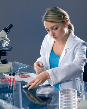 Woman european female scientist working with compound microscope and Petri dish in laboratory setting