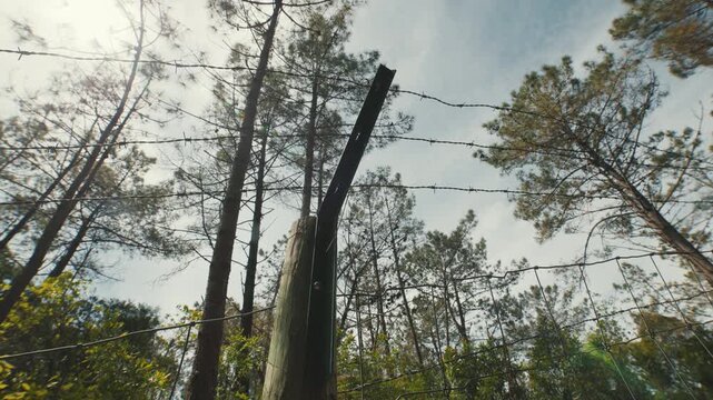 Barbed wire fence and pine trees against a cloudy sky