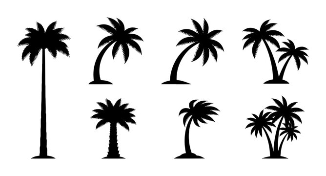 Set of 7 Black Silhouette Palm Trees, Tropical Vector Icons for Summer Beach Designs, Exotic Vacation Graphics