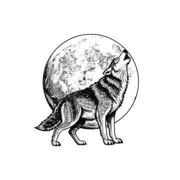 Wolf howling at full moon night.