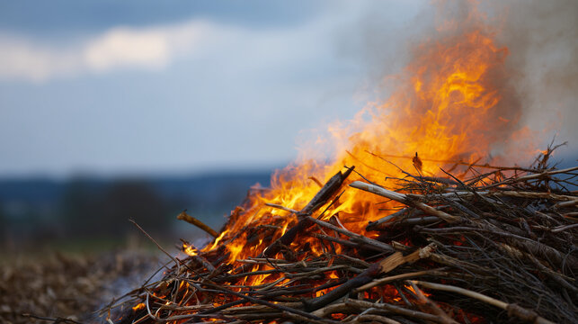 Large wood pile burning outdoors with flames and smoke, bonfire and firewood concept, natural heat, rural burning, campfire, orange fire, charred logs and dramatic outdoor flame sc