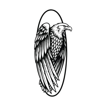 Detailed illustration of an eagle bird 7.