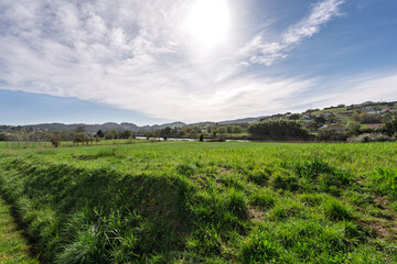 Obraz premium Green Countryside Meadow Under Bright Sky and Distant Hills