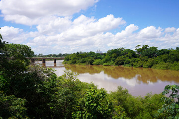 Fototapeta premium The Pantanal the world's largest tropical wetland area and the world's largest flooded grasslands, Mato Grosso State, Brazil