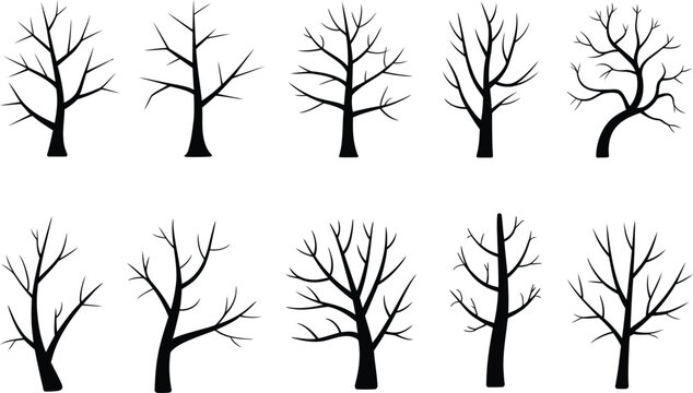 Bare tree silhouettes collection isolated on white background, leafless winter forest elements set, dry branches, black vector illustration design,