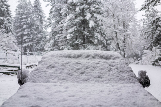 Car Covered In Fresh Snow