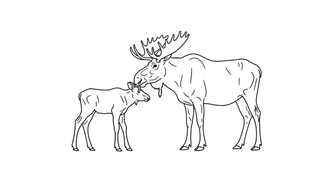 Line drawing of a mother moose and calf, touching noses in a tender moment.