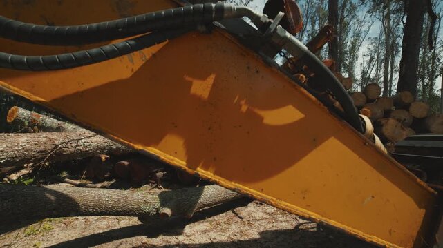 Heavy machinery claw releasing timber logs
