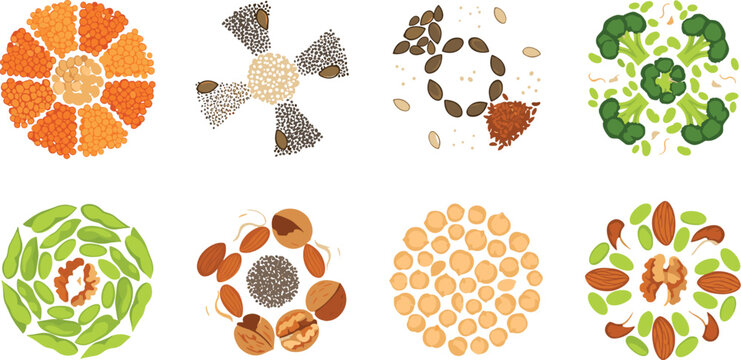 Seeds and Nuts Circular Pattern Vector Set with Lentils Beans Almonds Sunflower and Healthy Plant Based Food Background Design