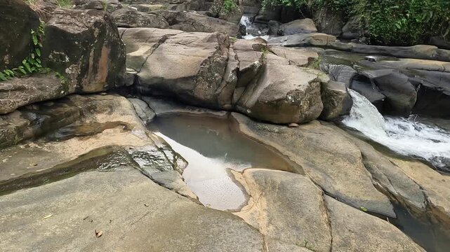 el yunque national park rainforest stream of clean mountain stream running in tropical forest trees green plants rocks idyllic jungle setting footage travel puerto rico pr caribbean cloud rain humid