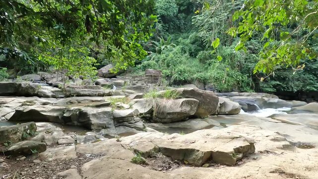 el yunque national park rainforest stream of clean mountain stream running in tropical forest trees green plants rocks idyllic jungle setting footage travel puerto rico pr caribbean cloud rain humid