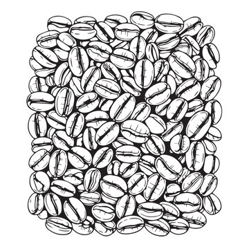 Monochrome sketch of coffee beans arranged in a square pattern.