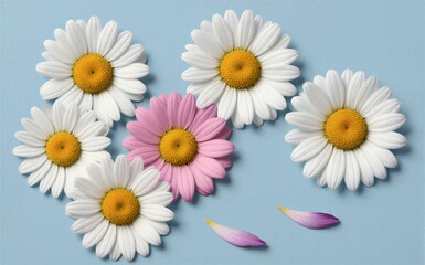 Obraz premium White daisies and one pink flower on blue background with scattered