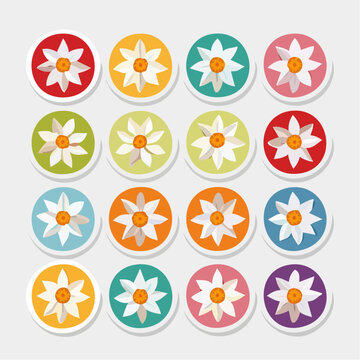 Collection of Edelweiss Flowers in Colorful Circles