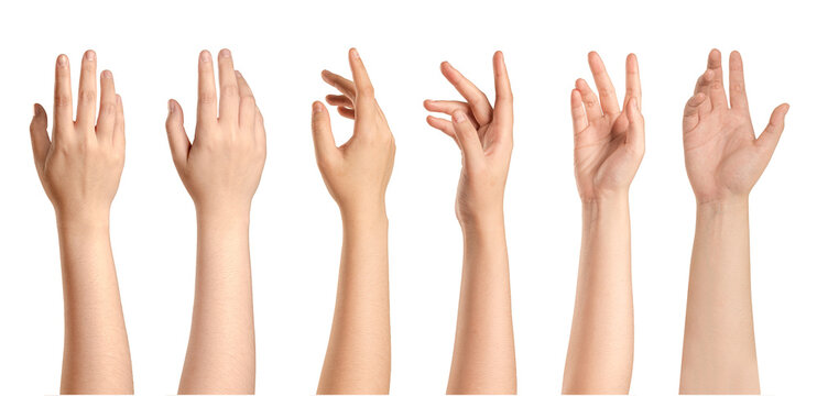 Collection of Female Hand and Arm Gestures Isolated on White background.