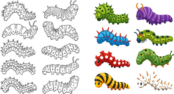 Colorful and Outline Cartoon Caterpillar Species Collection in Multiple Poses and Colors Vector Illustration Set for Nature Design