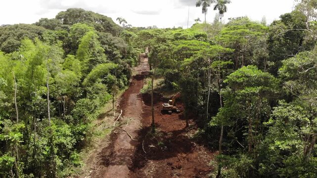 A new road under construction in pristine primary rainforest in Pastaza province, Ecuador, Roads provide an access route for colonists, environmental degradation and deforestation