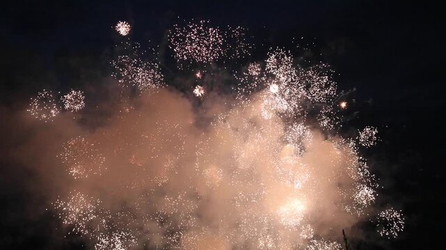 independence day fireworks against a dark black sky (firework exploding in the air) celebration new year july 4 fourth 4th american tradition party sparks