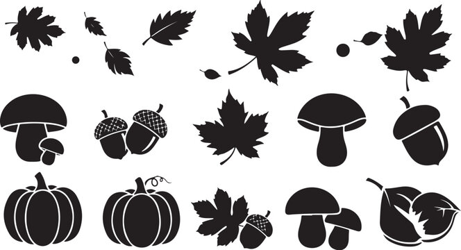 Autumn icons including leaves and pumpkins silhouette