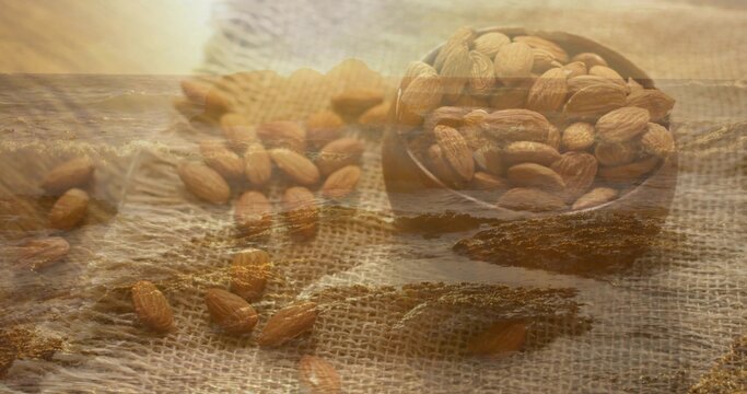 Nestling round wooden bowl full of whole almonds on burlap table, shoreline overlay, copy space