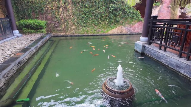 A tranquil koi pond with colorful fish swimming near a fountain, surrounded by lush greenery and traditional lanterns in  Ba Na Hills, Da Nang, Vietnam.