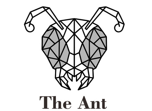 vector illustration of a Ant