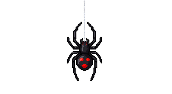 Black widow spider hanging on a silk thread.