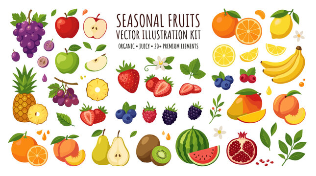 Seasonal fruits vector illustration kit with various colorful fruit elements