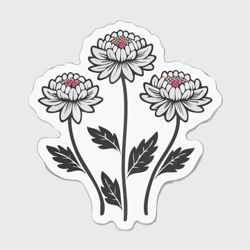 Stylized illustration of three white chrysanthemums with pink centers
