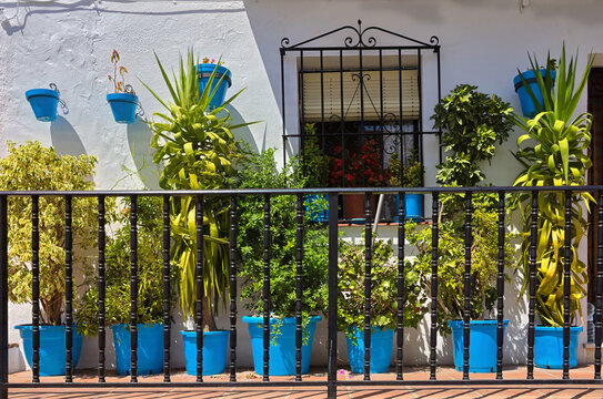 Window surrounded by plants in blue plantpots, Mijas, Andalusia, Spain