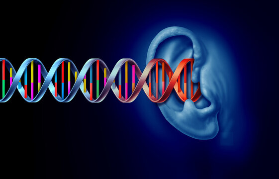 Genetic Hearing Loss as an ear with a DNA double helix symbol representing genetics and Auditory science or audiology as losing the ability to hear due to gene disorder.
