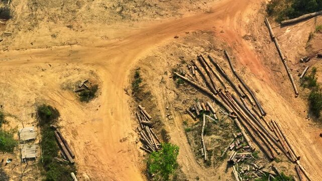 Aerial drone view of tropical deforestation showing felled logs along a forest road, highlighting illegal logging, biodiversity loss, land degradation, and environmental sustainability challenges. 4k.