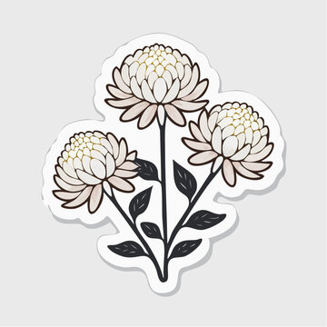 Illustration of three white chrysanthemums on a light gray background