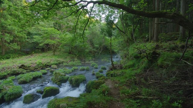 秋田県にかほ市 元滝伏流水の風景 Landscape of Mototaki underground water in Nikaho City, Akita Prefecture