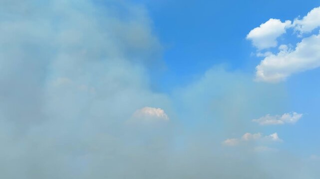 Aerial drone view of massive wildfire smoke rising into the atmosphere highlights global warming, climate change, air pollution, carbon emissions, and escalating environmental disaster risks. 4k.

