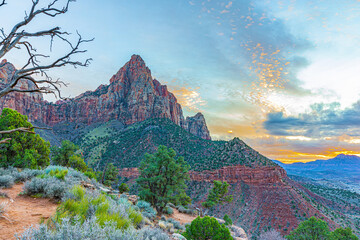 Description: View of The Watchman peak with a dead tree branch in the foreground and green desert vegetation under a blue sky in Zion. © ZL Visuals