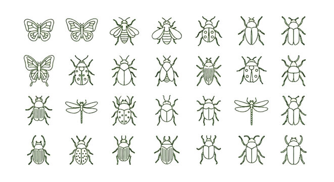 A Collection of Various Insect Illustrations, Including Butterflies, Beetles, and Dragonflies in a Simple Green Line Art Style