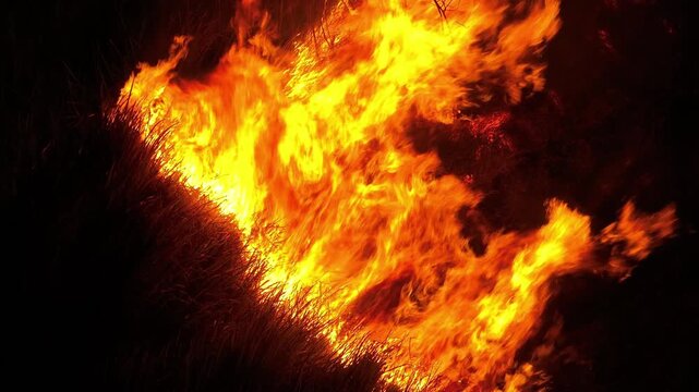 Aerial view of severe night forest fire with blazing flames reflects natural disaster threats, ecological damage, wildfire management challenges, and the urgency of protecting vulnerable landscapes.
