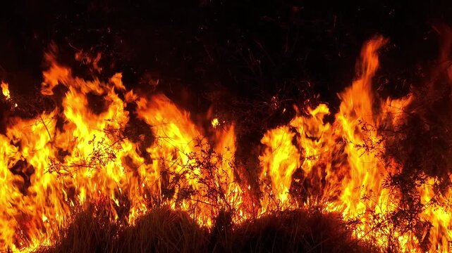 Aerial perspective of nighttime forest fire with raging flames reflects global warming impacts, ecosystem vulnerability, carbon emissions, and wildfire escalation driven by extreme climate patterns.
