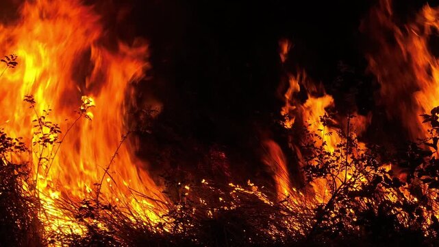 Aerial drone view of intense nighttime wildfire with towering flames highlights forest fire danger, ecosystem destruction, emergency response challenges, and environmental disaster risks. 4k.
