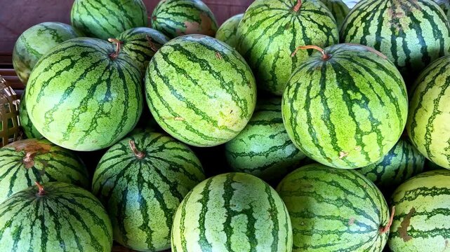 Watermelons fresh on display at Port Barton Beach, Philippines market