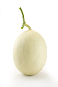 Shanghai Nanhui Yugur Melon Fruit Specialty White Background
