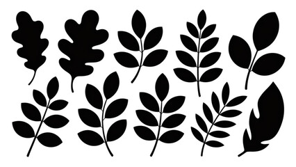 Black and white fern leaves illustration with elegant pattern Vector © Mst Nazma