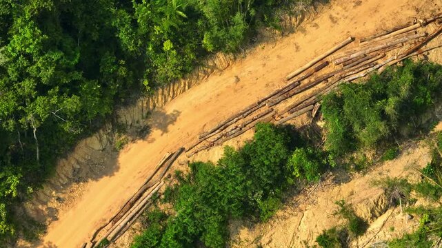 Aerial drone view of tropical deforestation with cut logs and exposed land highlights global warming, carbon release, biodiversity loss, and the environmental cost of shrinking rainforests. 4k.
